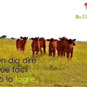 Meet your Posher, Miguel